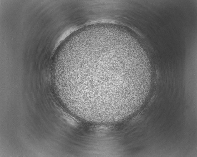 X0000076421266200611031804