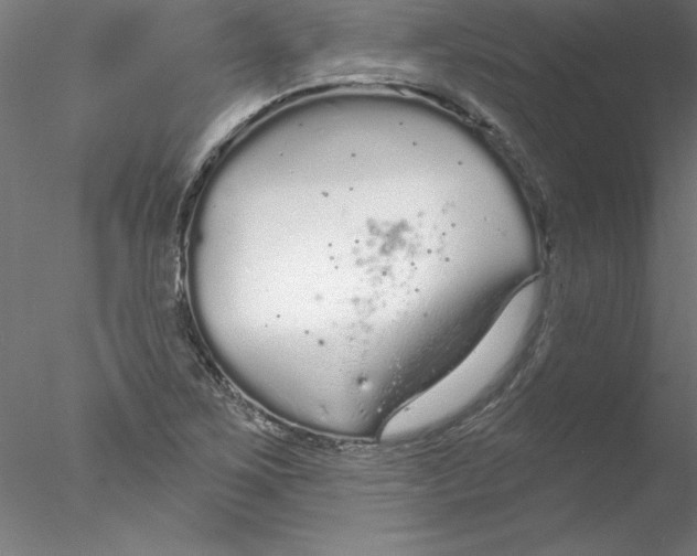 X0000076421267200611031804