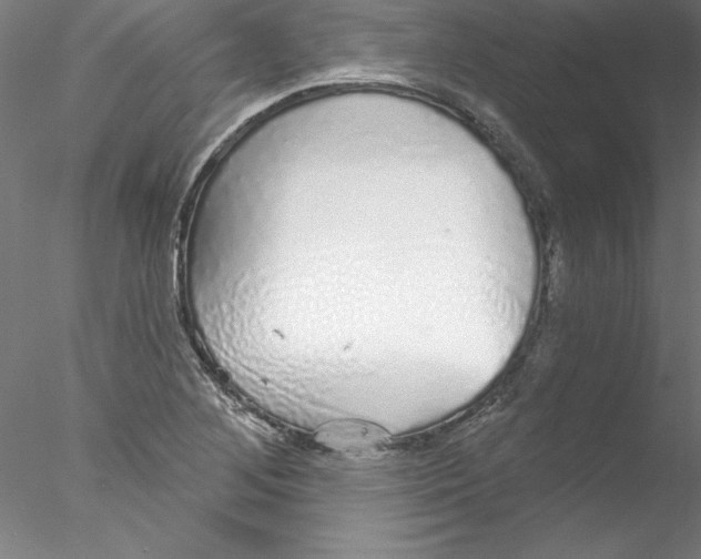 X0000076421268200611031804