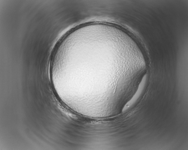 X0000076421272200611031804