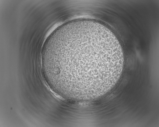 X0000076421274200611031804