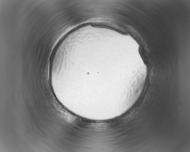 X0000076421276200611031804