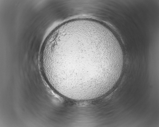 X0000076421278200611031804