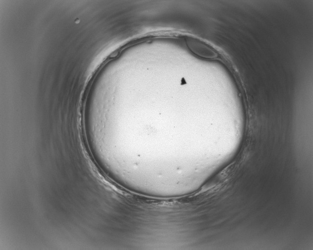 X0000076421279200611031804