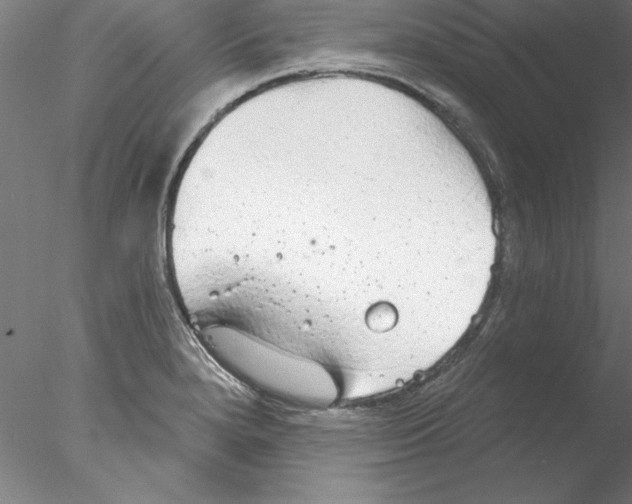 X0000076421280200611031804