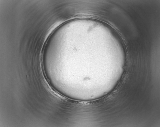 X0000076421283200611031804