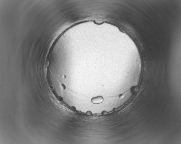 X0000076421284200611031804