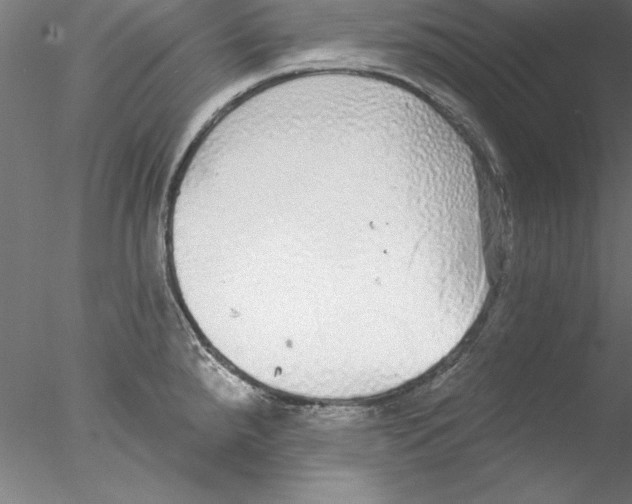 X0000076421288200611031804