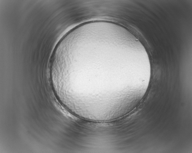 X0000076421292200611031804