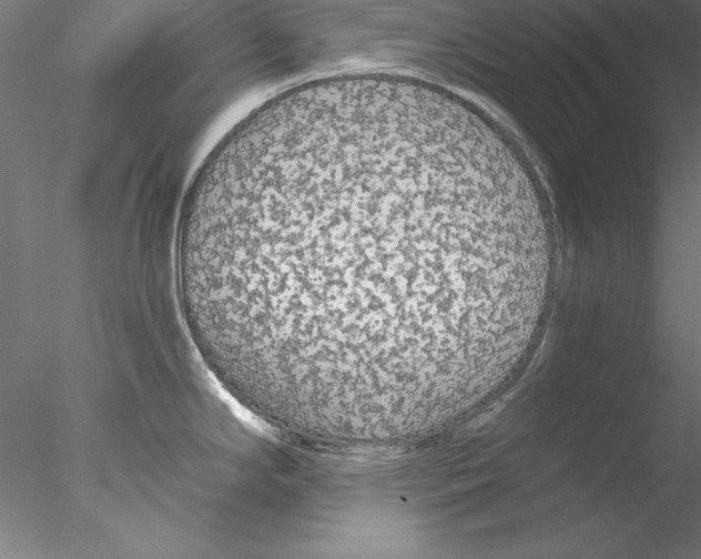 X0000076421294200611031804