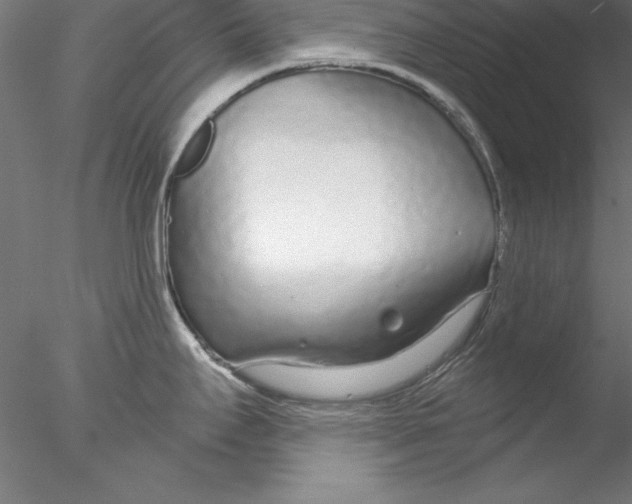 X0000076421295200611031804