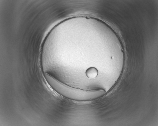 X0000076421296200611031804