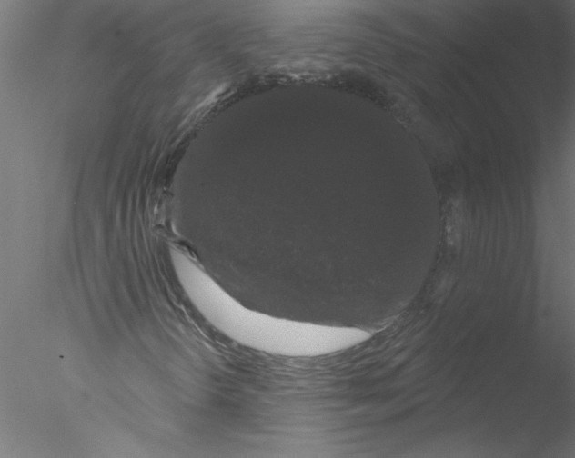 X0000076421298200611031803