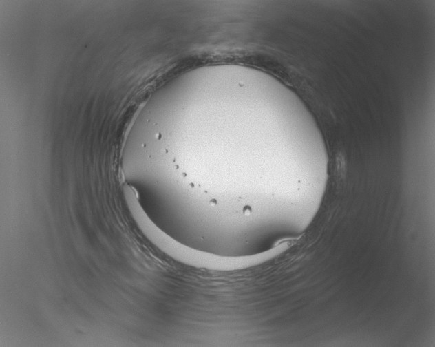 X0000076421300200611031803