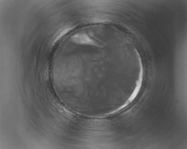 X0000076421306200611031803