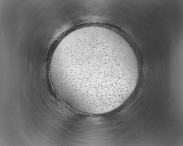 X0000076421309200611031803