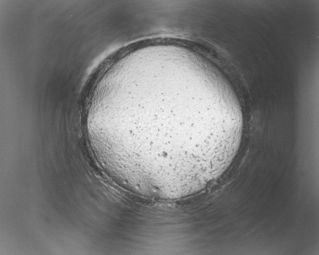 X0000076421310200611031803