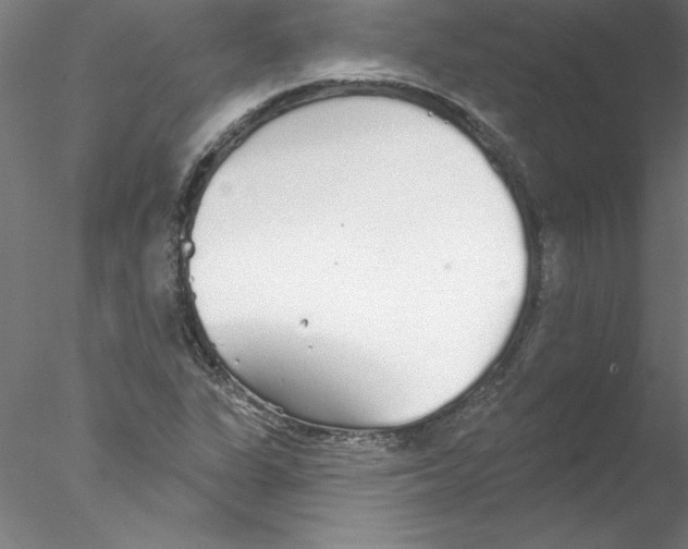 X0000076421311200611031803