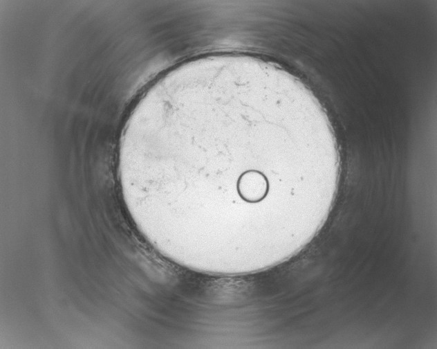 X0000076421314200611031803