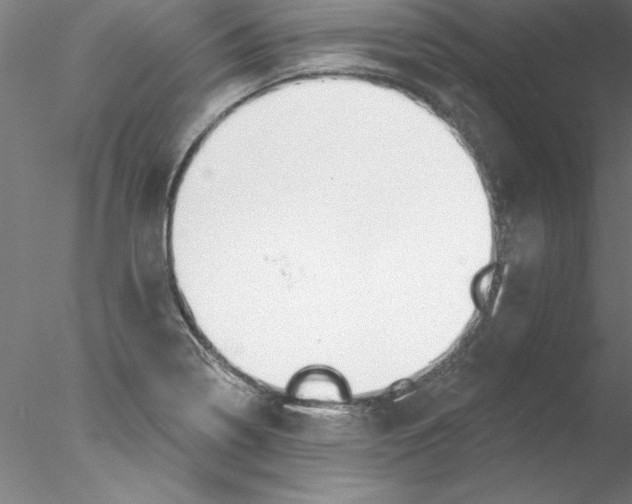 X0000076421322200611031803