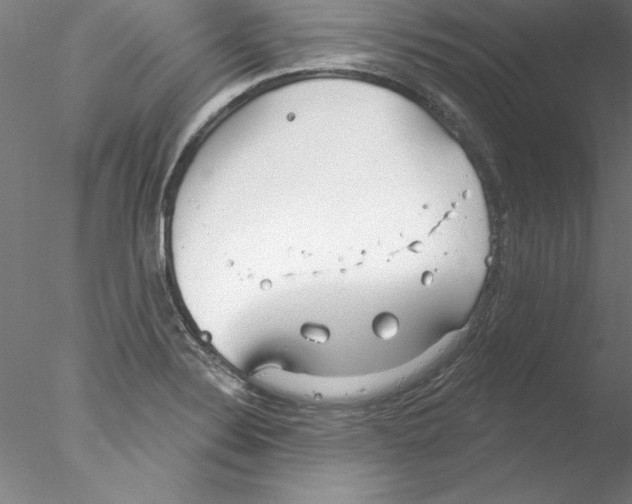 X0000076421324200611031803