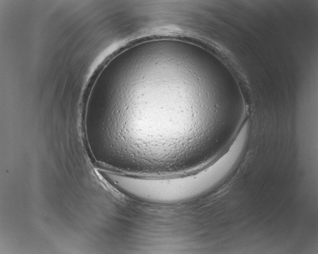 X0000076421326200611031803