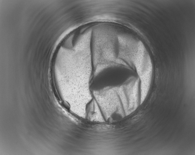 X0000076421331200611031803