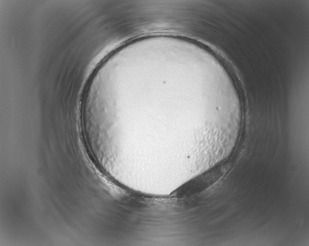 X0000076421333200611031803