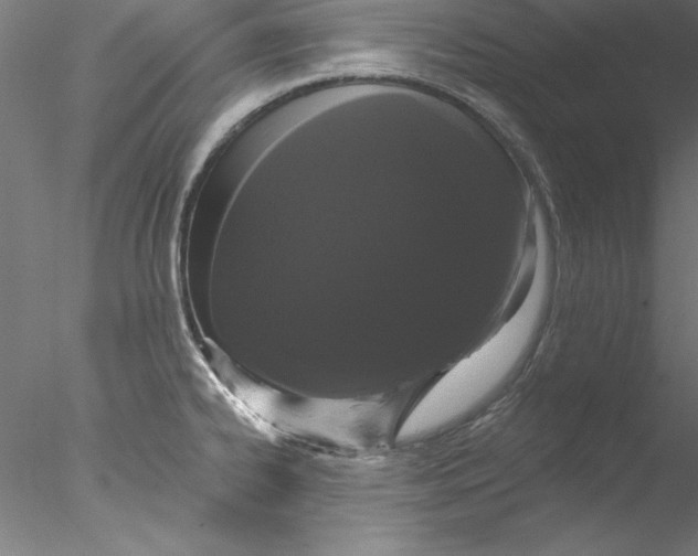 X0000076421334200611031803