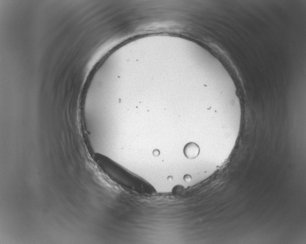 X0000076421336200611031803