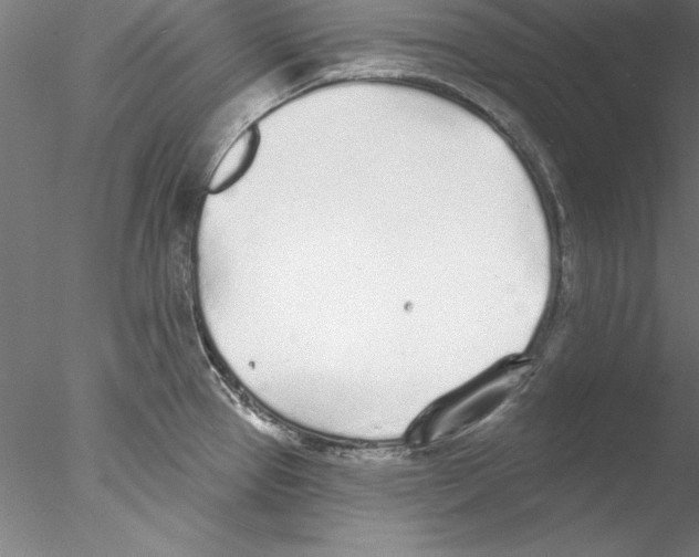 X0000076421337200611031803