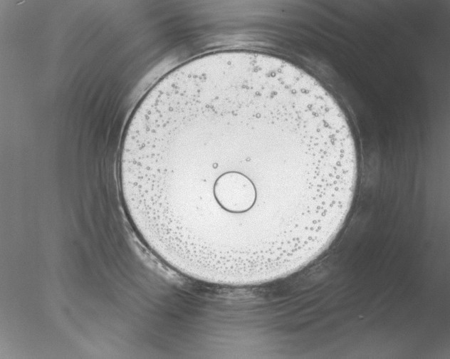 X0000076421338200611031803