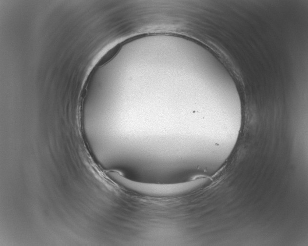 X0000076421340200611031803