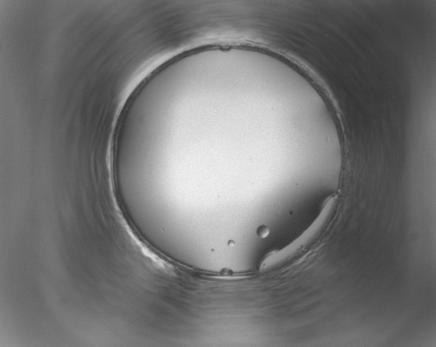 X0000076421343200611031804