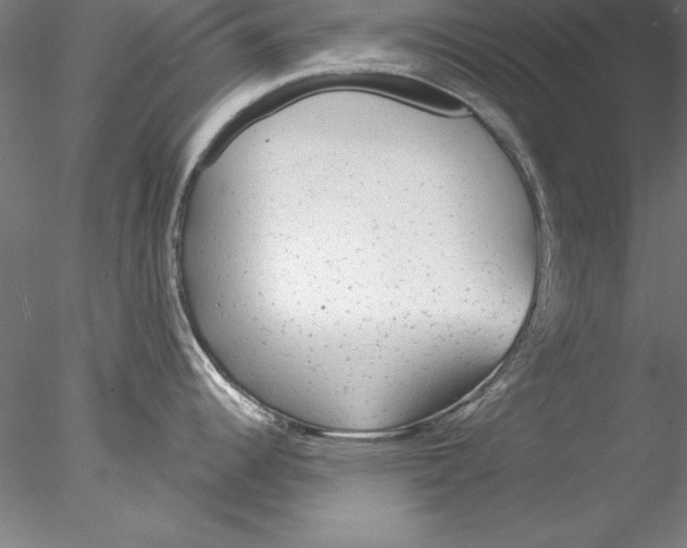 X0000076421344200611031804