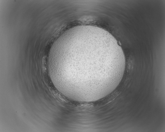 X0000076421346200611031803