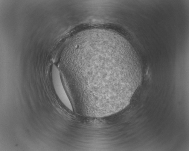 X0000076421348200611031803