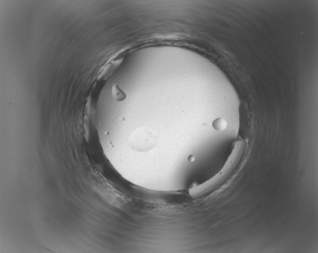 X0000076421353200611031803