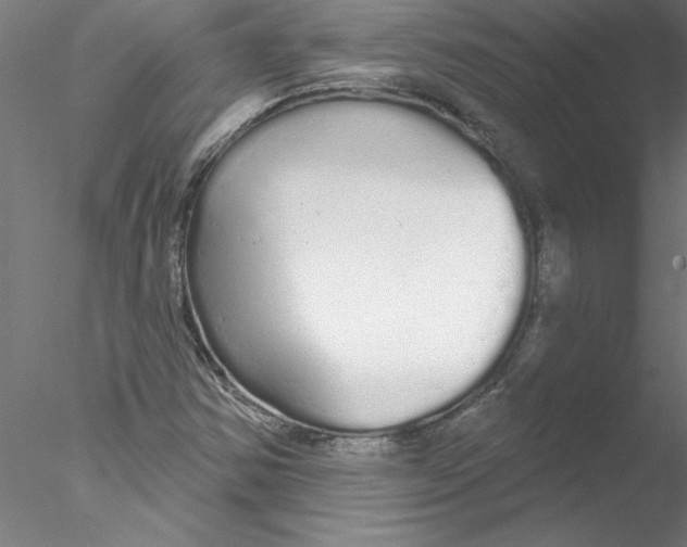 X0000076421354200611031803