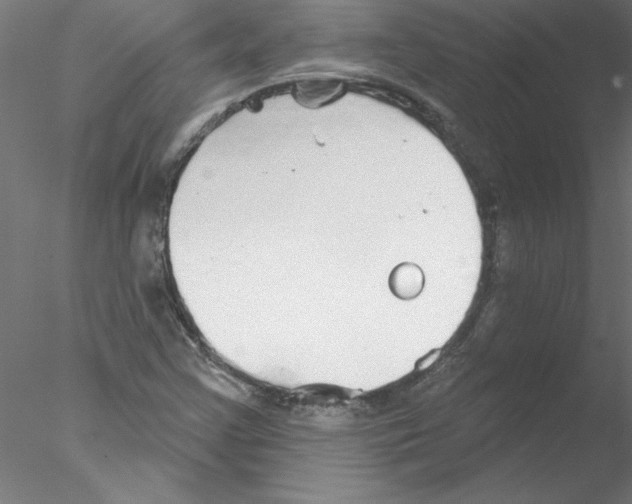 X0000076421355200611031803