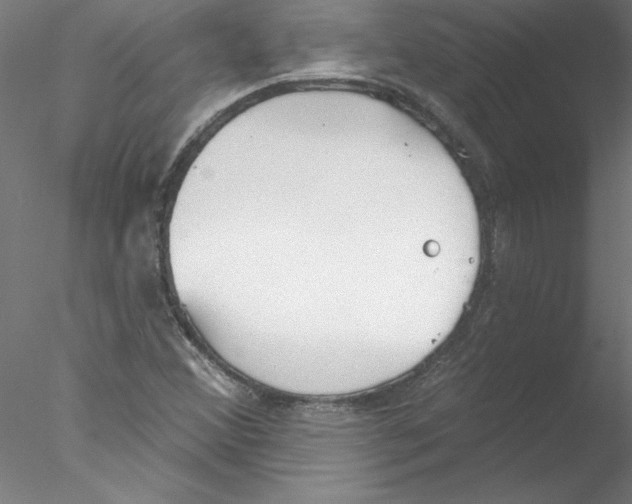 X0000076421356200611031803