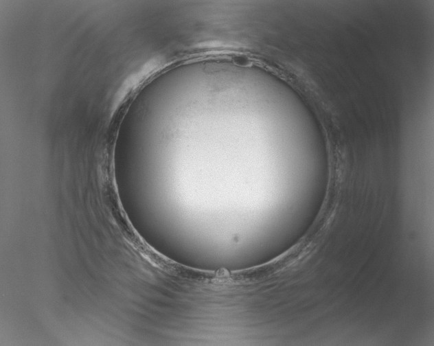 X0000076421357200611031803