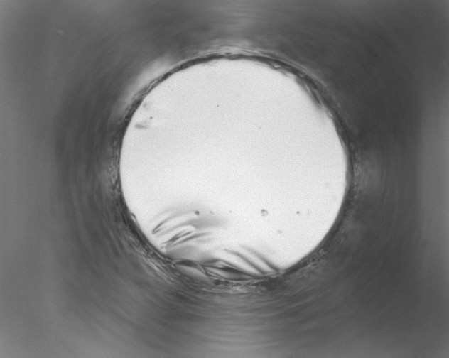 X0000076421359200611031802