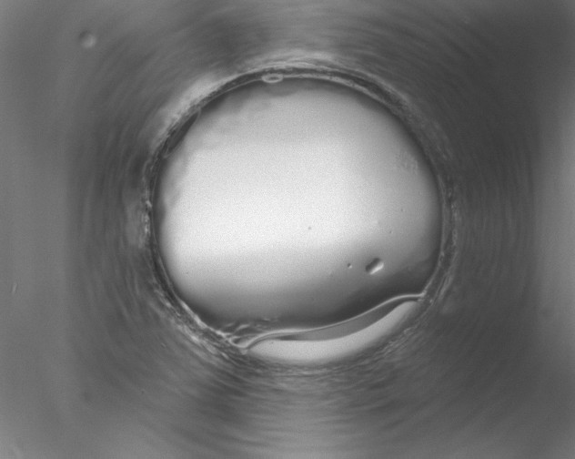 X0000076421363200611031802