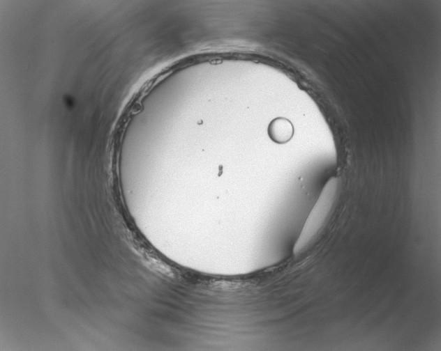 X0000076421364200611031802