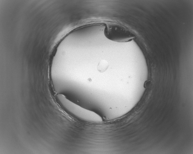 X0000076421365200611031802