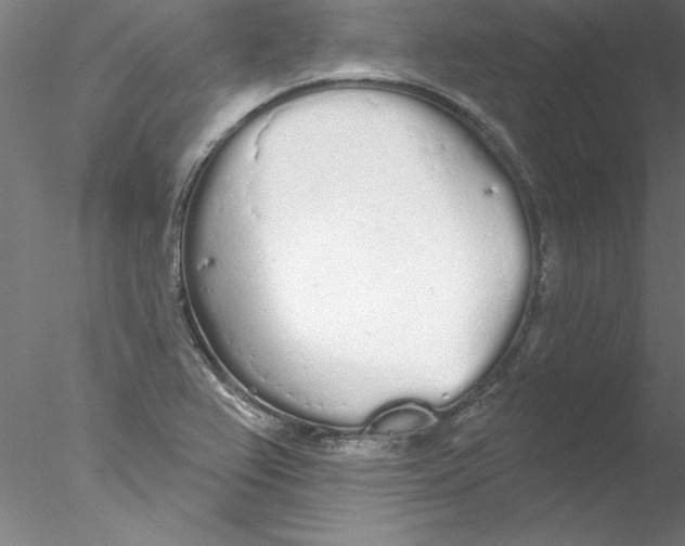 X0000076421367200611031802