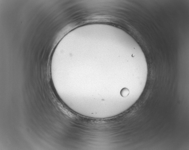 X0000076421370200611031802