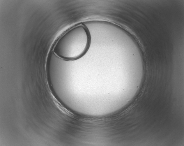 X0000076421372200611031802