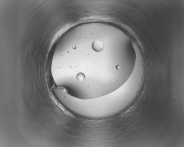 X0000076421373200611031802